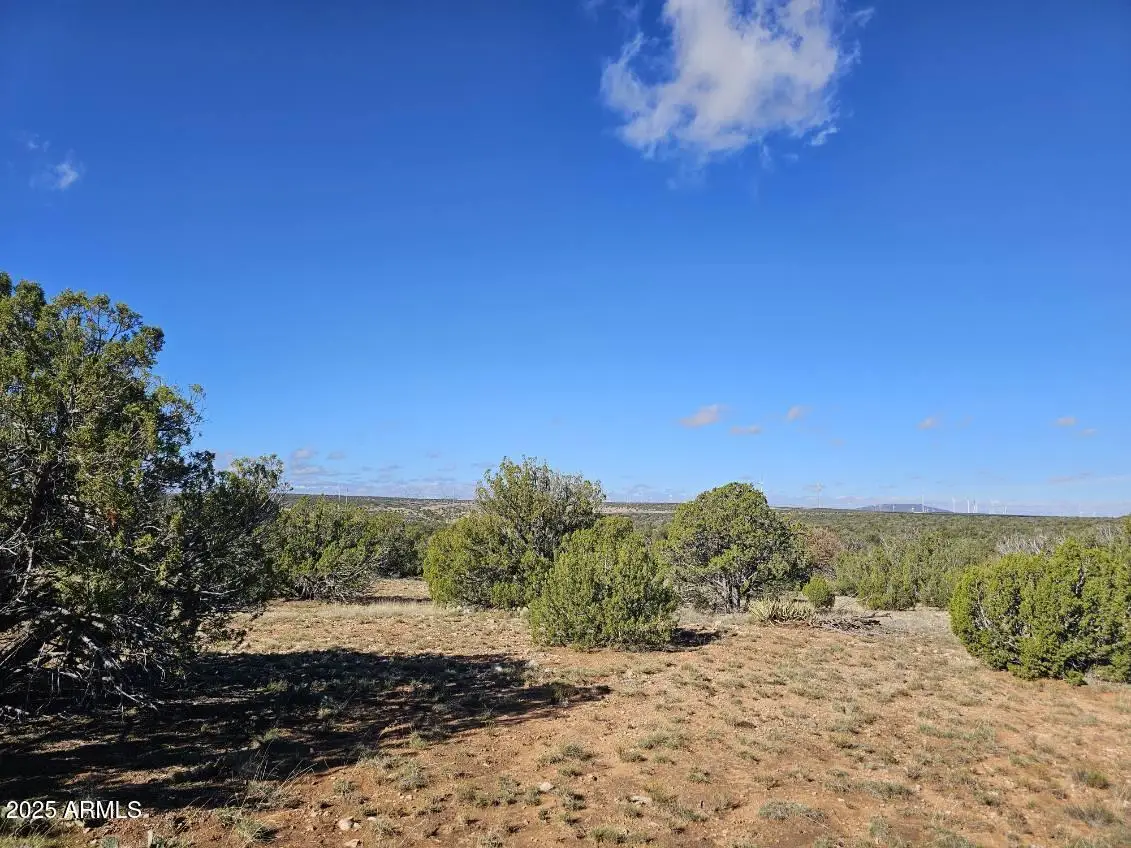 TBD Chevelon Acres --, Heber, AZ 85928 - Image #1