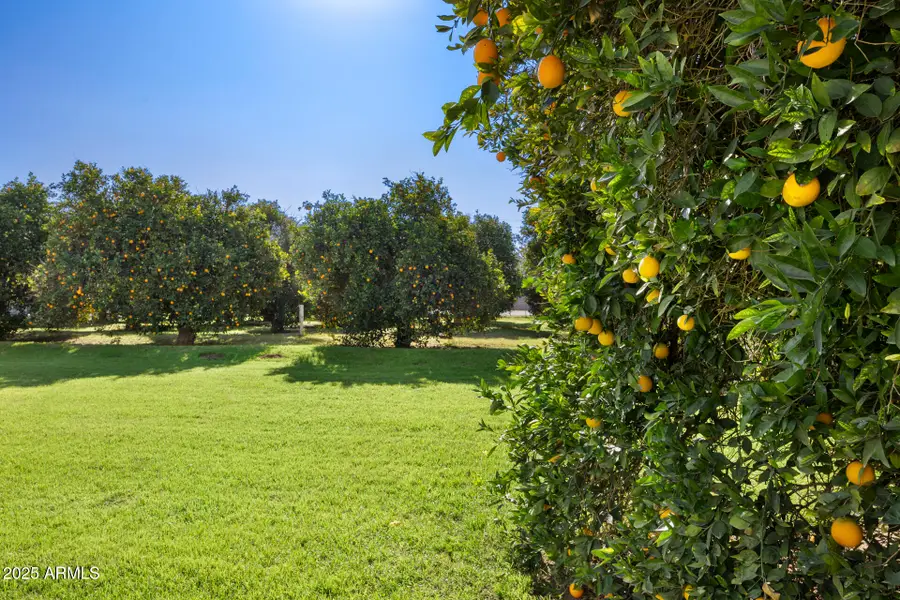 17525 E Regal Drive, Queen Creek, AZ 85142 - Image #2