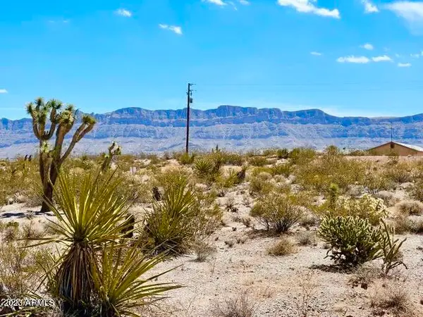 30390 N Dutton Drive #182, Meadview, AZ 86444