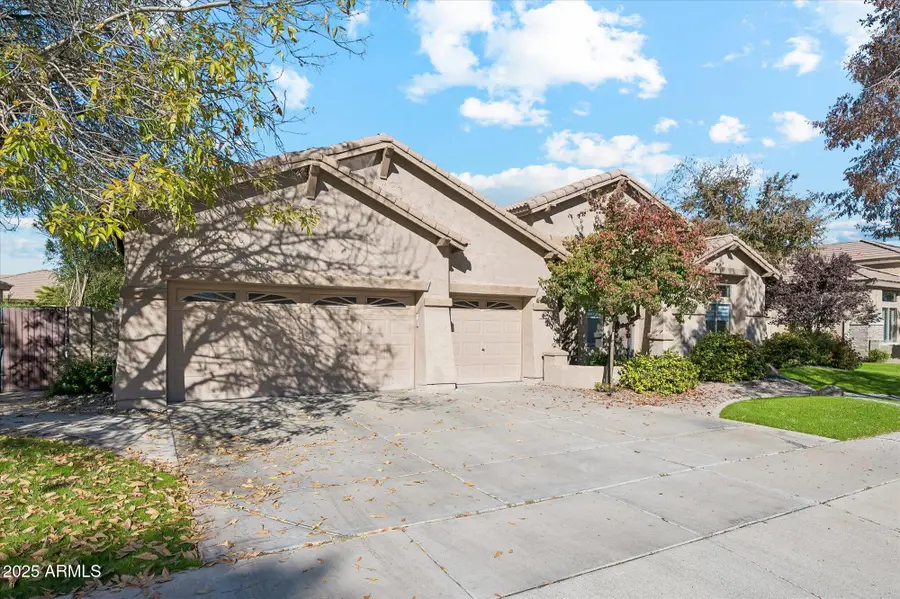 362 W Macaw Drive, Chandler, AZ 85286 - Image #3