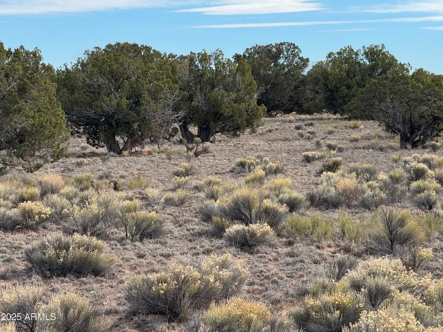 Lot 338 Sierra Highlands Ranch -- #338, Saint Johns, AZ 85936 - Image #2