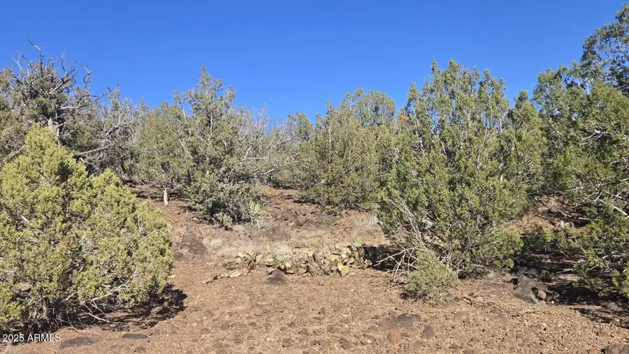 9938 W Gleed Station Road #188, Ash Fork, AZ 86320 - Image #3