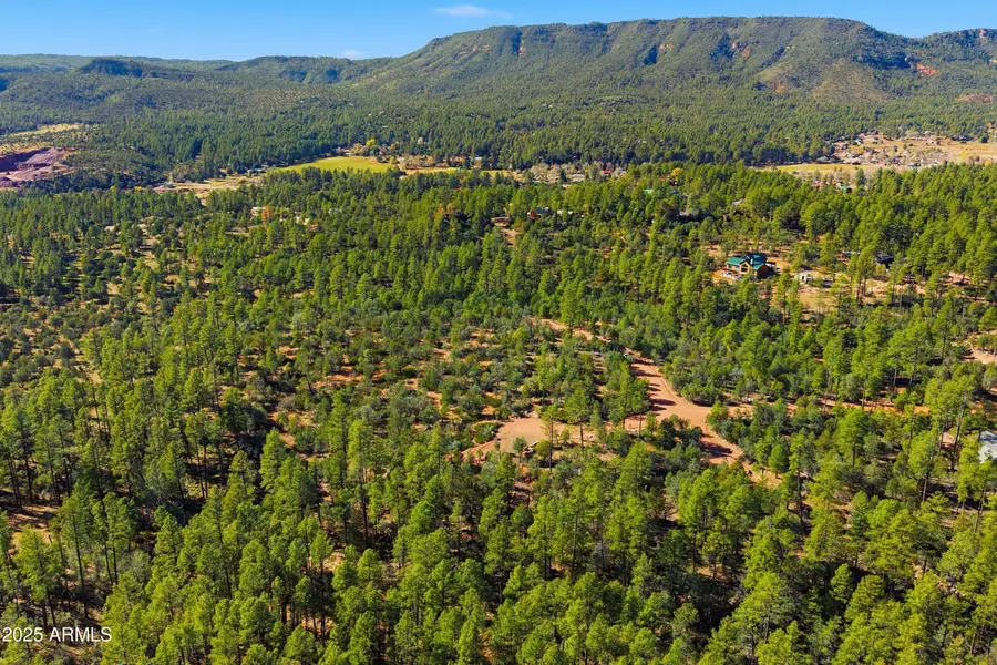 0 Fawn Drive, Pine, AZ 85544 - Image #3