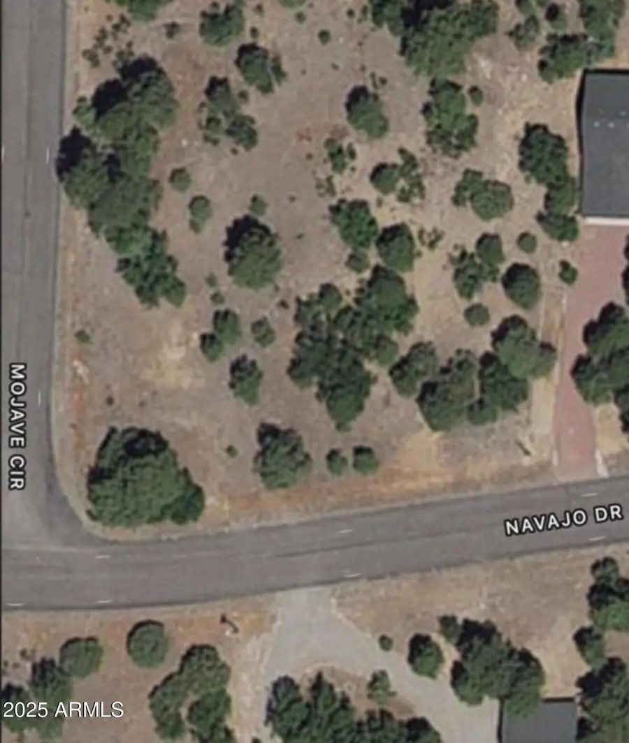 4453 Navajo Drive #358, Blue Ridge, AZ 86024 - Image #3