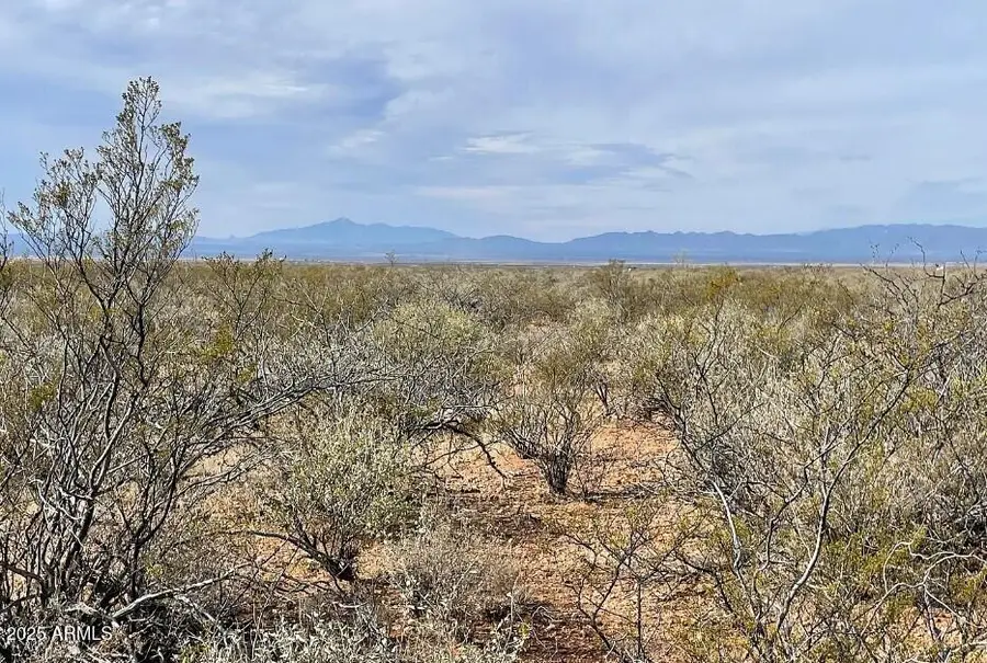 xxxx E Cll Principal -- #258, Douglas, AZ 85607 - Image #3