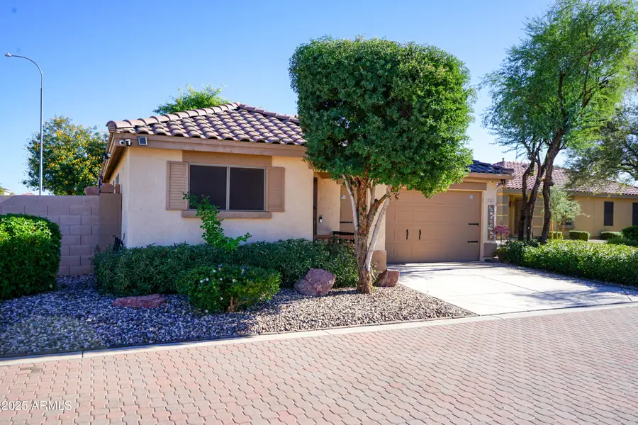 2323 E Peach Tree Drive, Chandler, AZ 85249 - Image #2