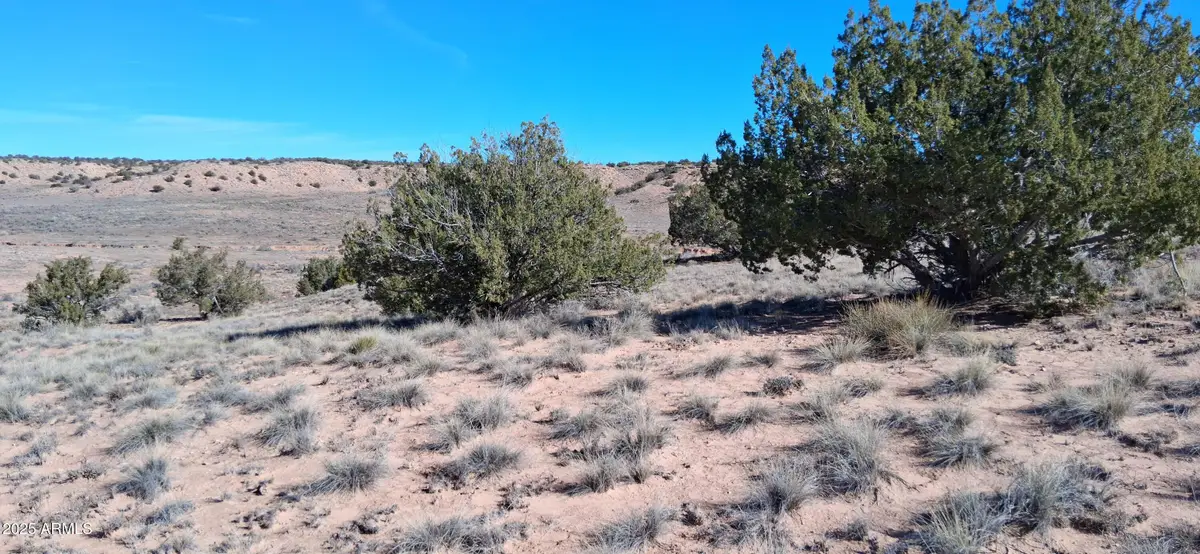 3.02 Acres Unnamed Road #457, Chambers, AZ 86512 - Image #1