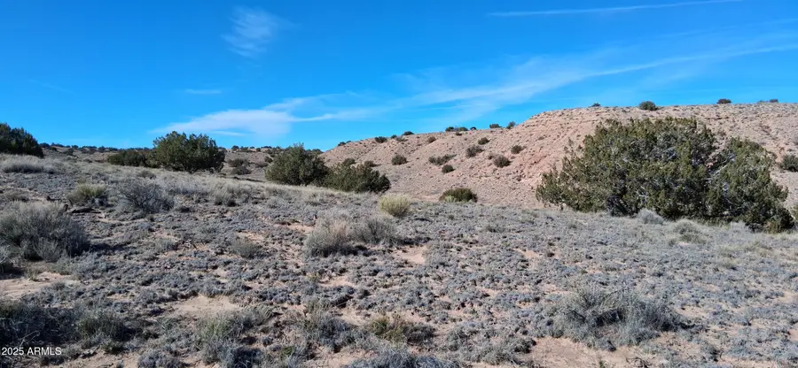 3.02 Acres Unnamed Road #457, Chambers, AZ 86512 - Image #3