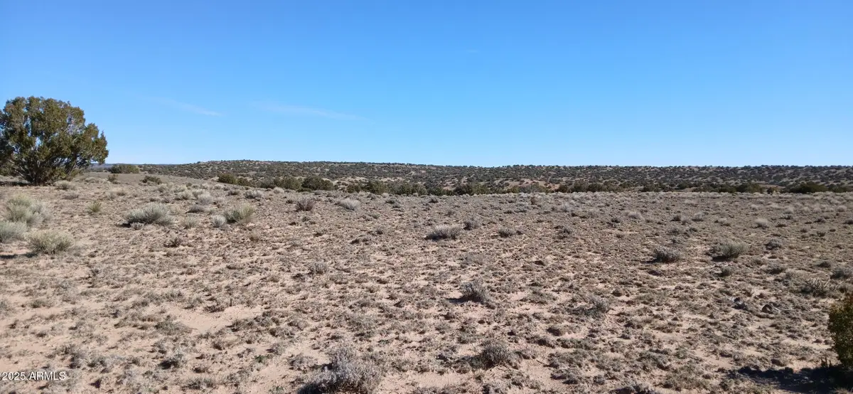 1.06 Acre Blackfoot Trail #71, Chambers, AZ 86512 - Image #1