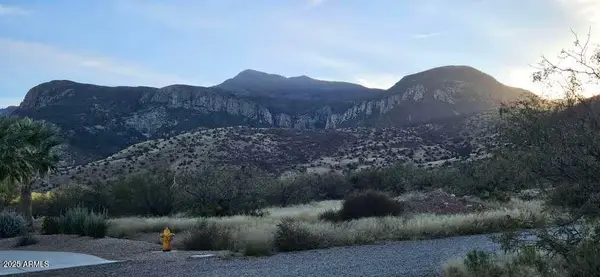 1.25 Acres E Emma Lane Lot 1 --, Hereford, AZ 85615