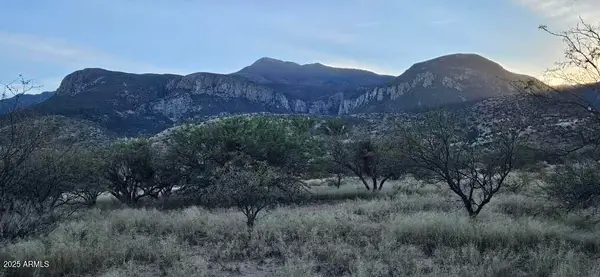 1.25 Acres E E. Emma Lane Lot 2 --, Hereford, AZ 85615