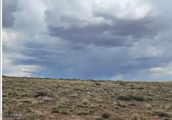 7738 Quartzsite Street #63, Sun Valley, AZ 86029