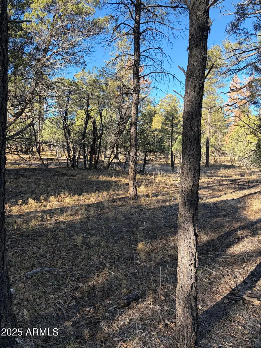 350 N Verbena Lane #81, Show Low, AZ 85901 - Image #2