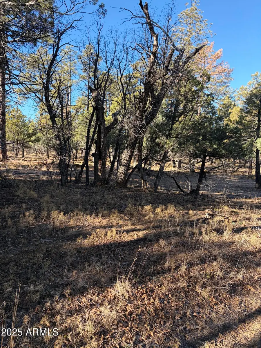 350 N Verbena Lane #81, Show Low, AZ 85901 - Image #3