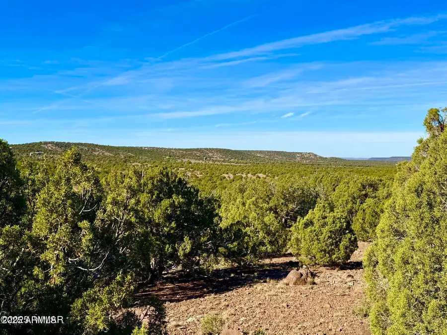 TBD Kirkland Dr 20 Acres --, Concho, AZ 85924 - Image #2