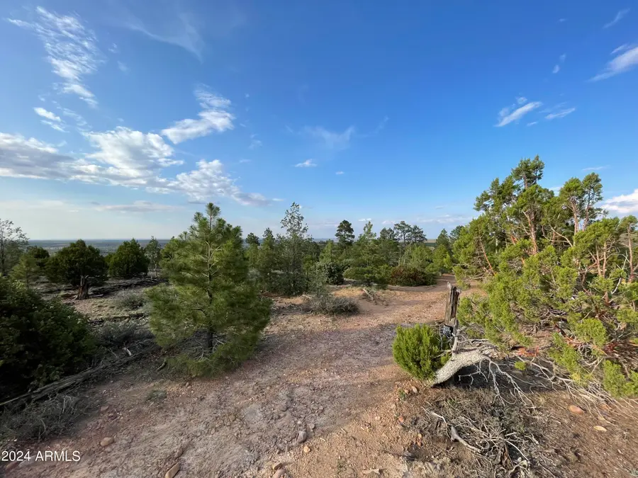0 E 260 Highway, Payson, AZ 85901 - Image #3