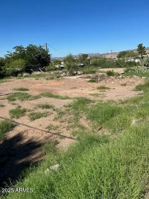 112 N South Avenue #12, Superior, AZ 85173 - Image #1