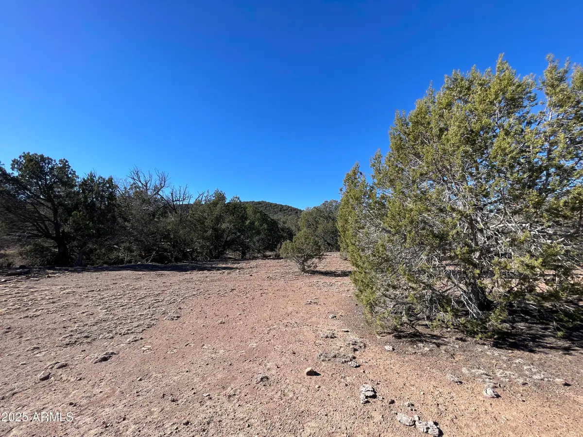 XXXX Cattle Drive #160, Williams, AZ 86046 - Image #1