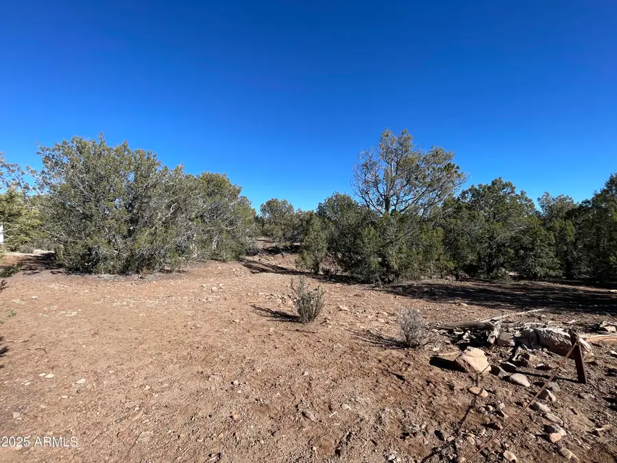 XXXX Cattle Drive #160, Williams, AZ 86046 - Image #3