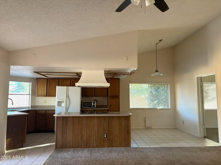 1116 E Hackamore Street, Mesa, AZ 85203 - Image #3