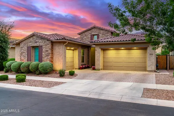 10224 E Tiger Lily Avenue, Mesa, AZ 85212