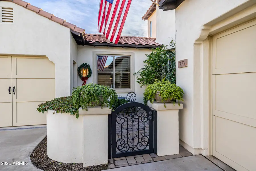 377 W Desert Broom Drive, Chandler, AZ 85248 - Image #3