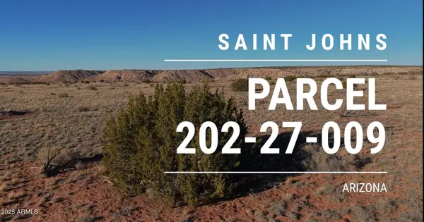 150 150 County Road N6100 --, St Johns, AZ 85936