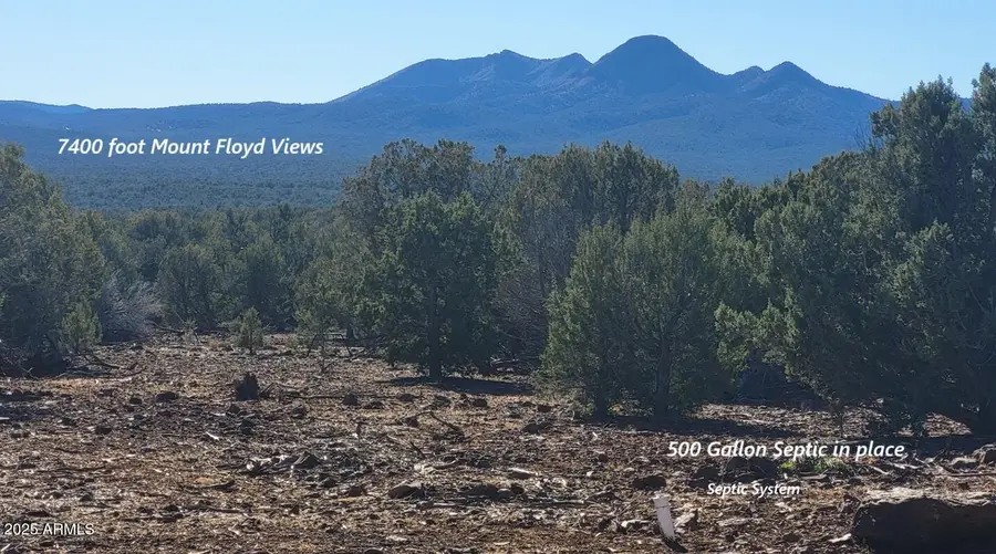 12120 9 Shooter -- #31, Williams, AZ 86046 - Image #3