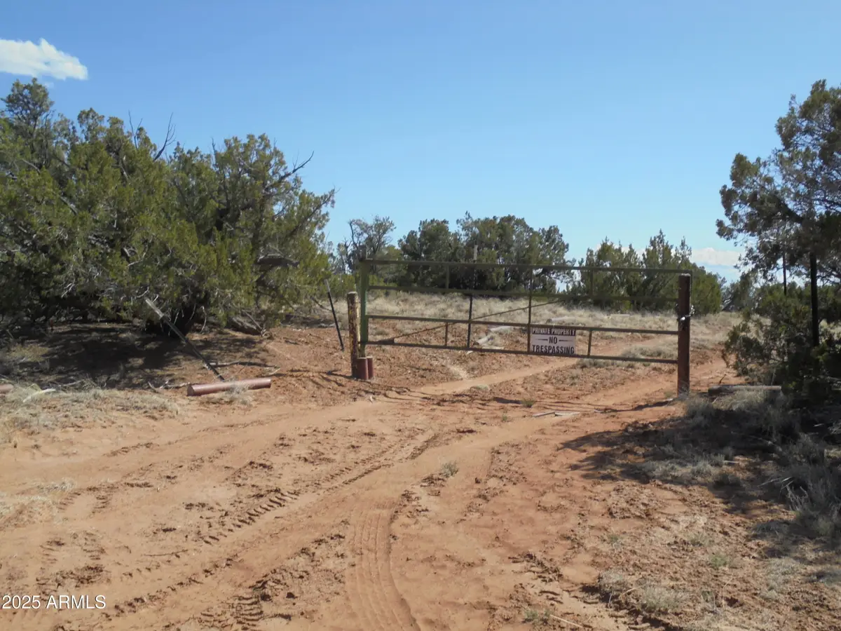 568 County Road N7407 --, Saint Johns, AZ 85936 - Image #1