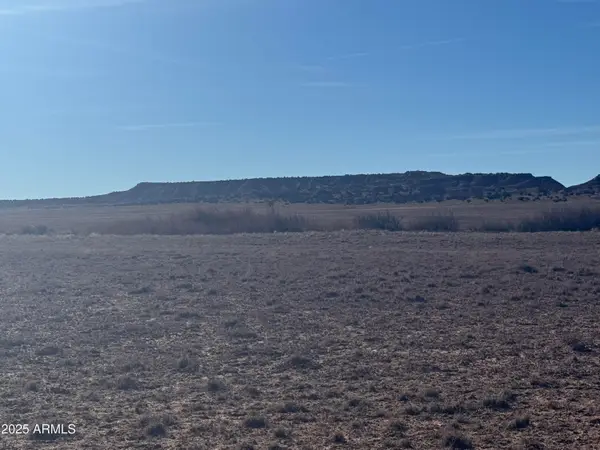 Lot 15 Woodland Valley Ranch -- #15, St Johns, AZ 85936