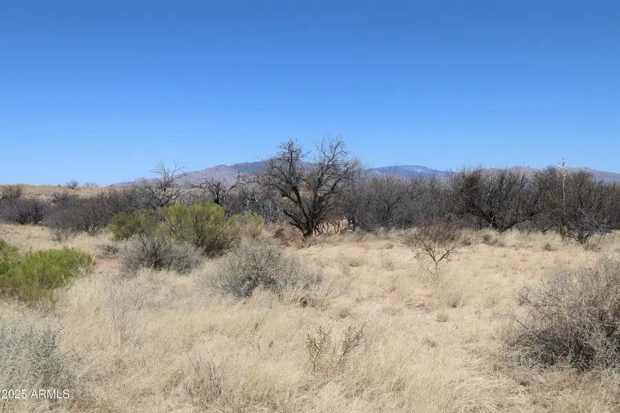 TBD W Eeyore Lane, Benson, AZ 85602 - Image #3