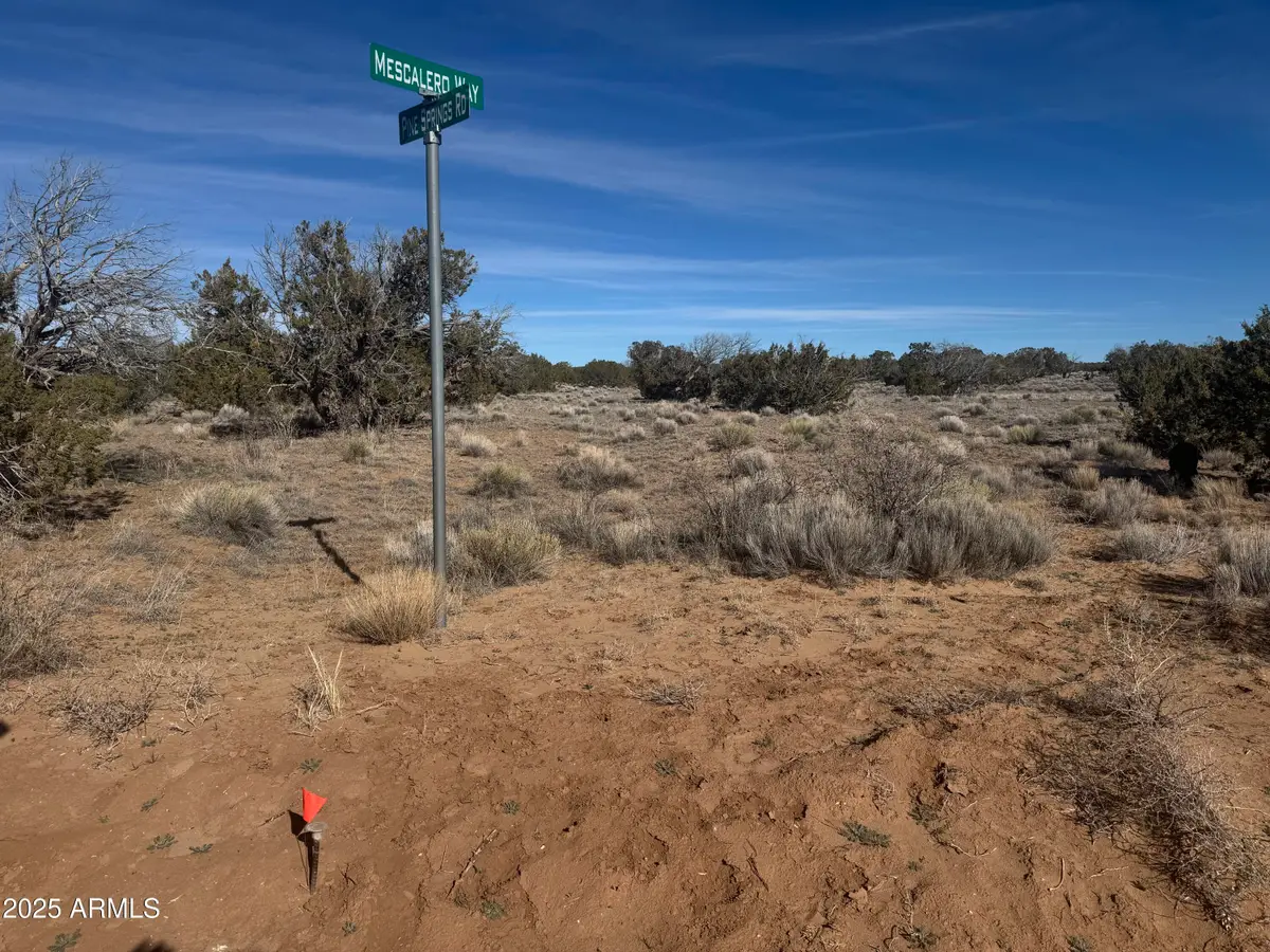 Lot 98 Woodland Valley Ranch -- #98, Saint Johns, AZ 85936 - Image #1