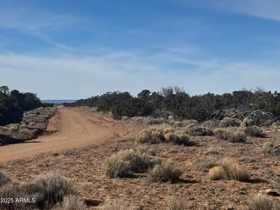 Lot 98 Woodland Valley Ranch -- #98, Saint Johns, AZ 85936 - Image #2