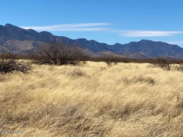 TBD S Calle Mia Road #'-', Hereford, AZ 85615 - Image #3