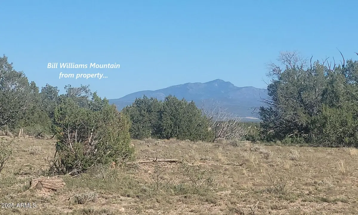 10 Acres N. Tanner Road Ne #17F, Ash Fork, AZ 86320 - Image #1