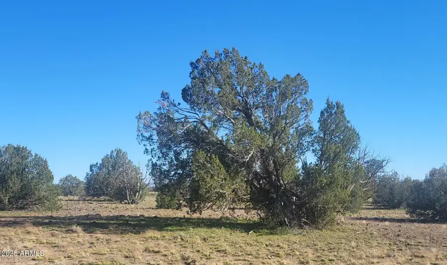 10 Acres N. Tanner Road Ne #17F, Ash Fork, AZ 86320 - Image #3