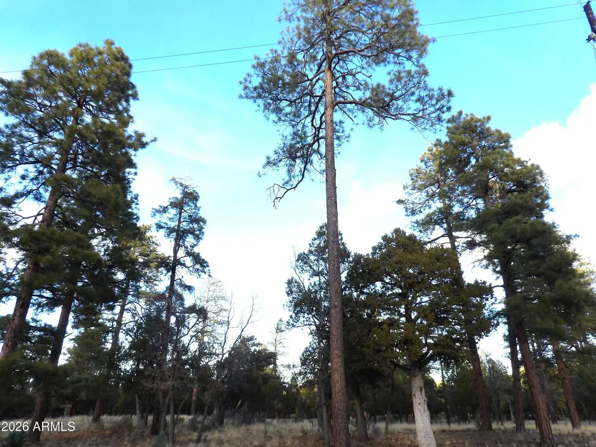 2941 Eagle Ridge Circle #119, Happy Jack, AZ 86024 - Image #1