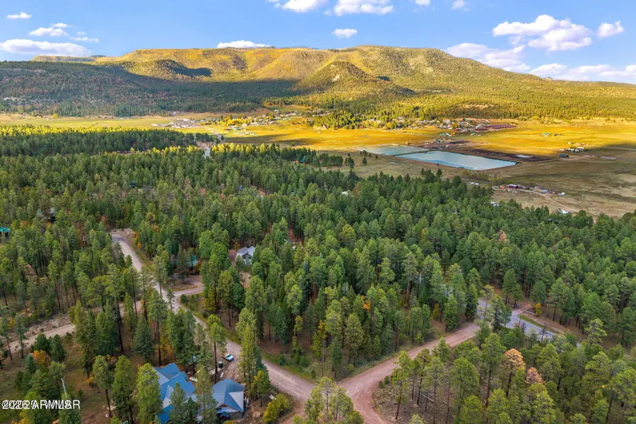 000 County Road 2196 -- #74A, Alpine, AZ 85920 - Image #2