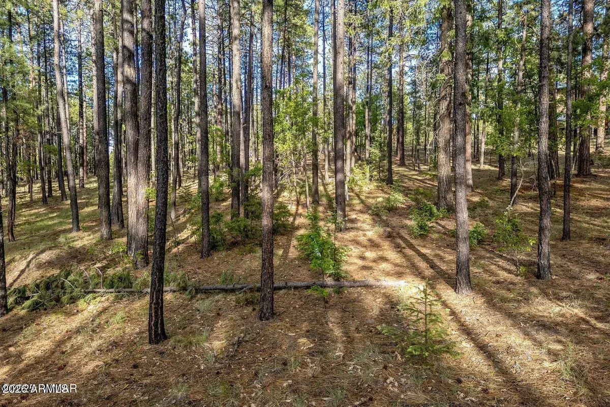 15 County Road 2083 -- #10, Alpine, AZ 85920 - Image #1