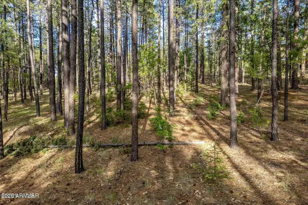 15 County Road 2083 -- #10, Alpine, AZ 85920