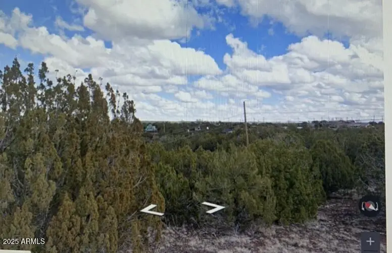 8546 Silver Creek Drive #44, Show Low, AZ 85901 - Image #1