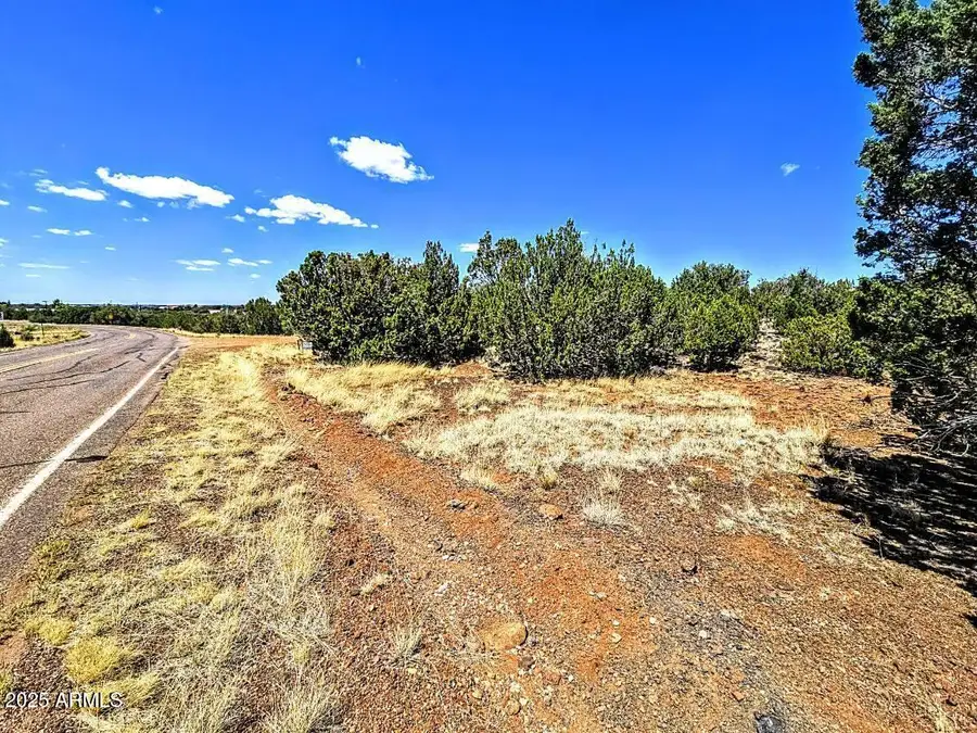 8426 Silver Creek Drive #1, Show Low, AZ 85901 - Image #3