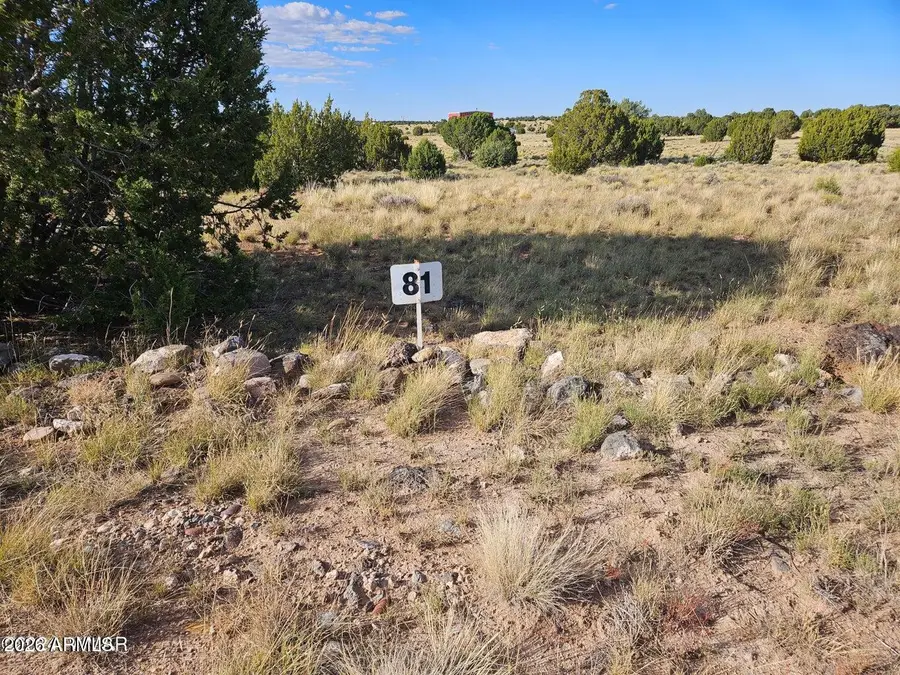 TBD Acr 8620 Lot 81 Road #81, Concho, AZ 85924 - Image #2