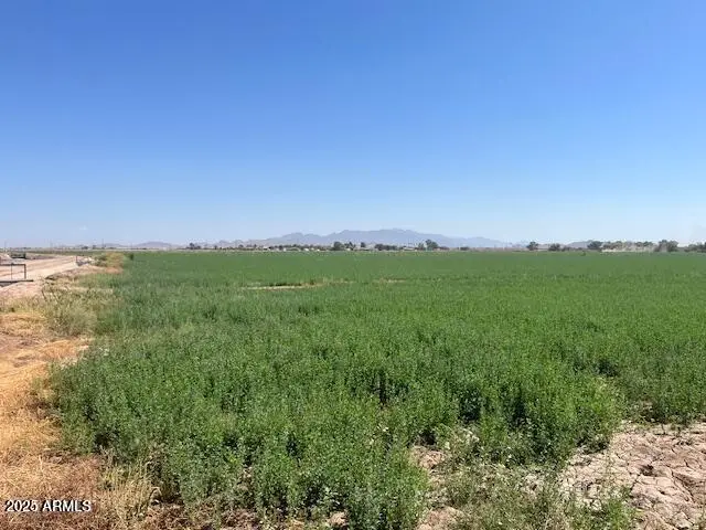 0006 W Beloat Road #Lot 28, 29, 30, Buckeye, AZ 85326 - Image #2