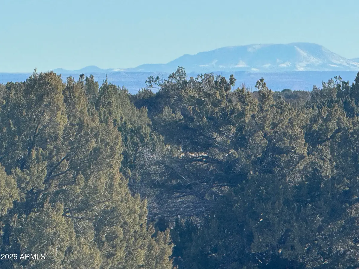 Lot 198 Red Sky Ranch -- #198, Saint Johns, AZ 85936 - Image #1