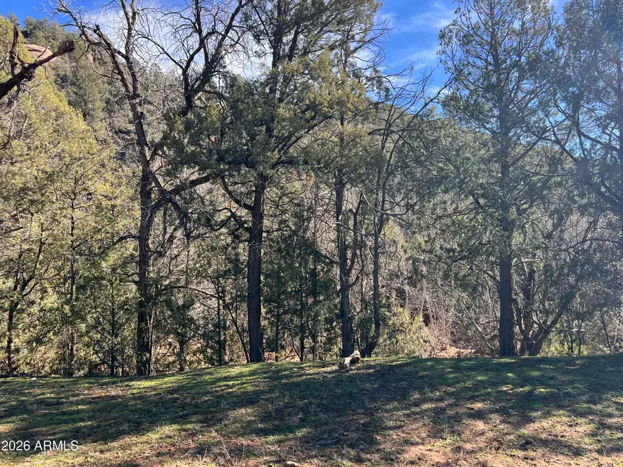 2321 W Munsee Drive #C, Payson, AZ 85541 - #3