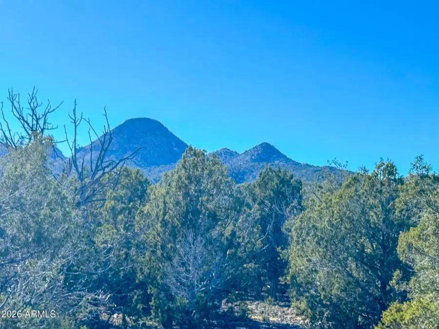 0 Ranch Rd 53.79 Acres -- #121, Seligman, AZ 86337 - Image #3