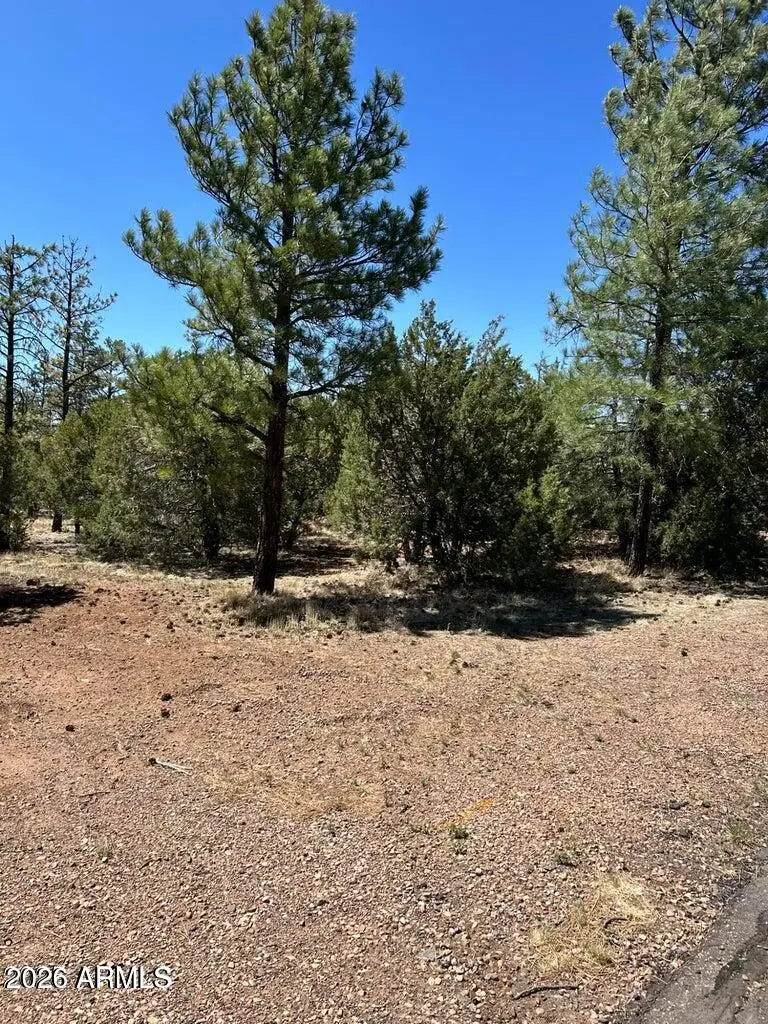 4864 Bison Trail #40, Lakeside, AZ 85929 - Image #3