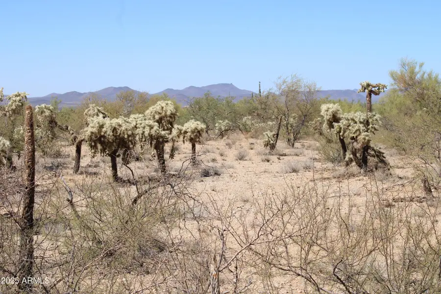 14223 S Shaw Road #00330, Tucson, AZ 85736 - Image #2