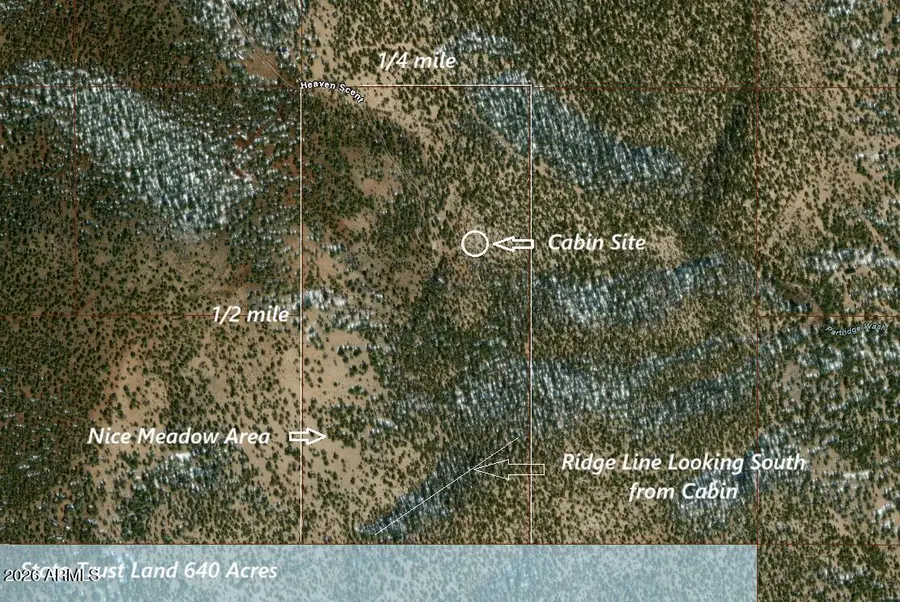 15508 Heaven Scent -- #477, Williams, AZ 86046 - Image #3